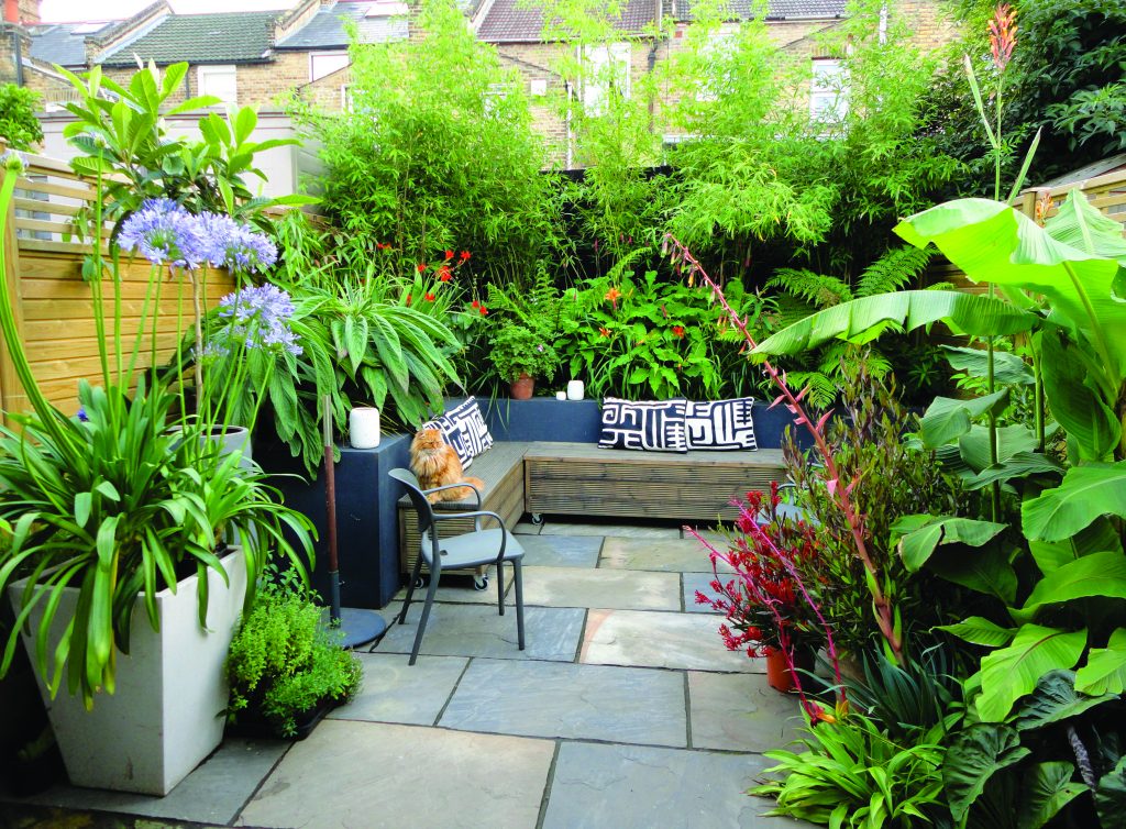 DSC05241 © C P Landscapes