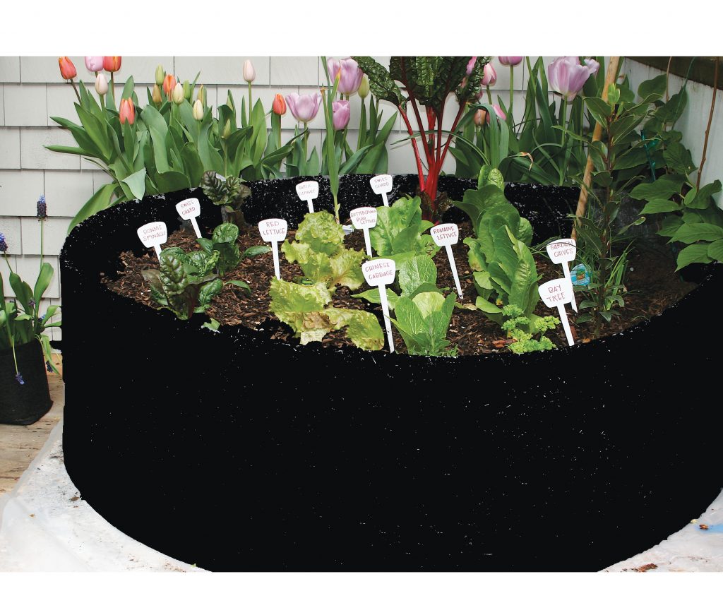 Culture en balcon vivante