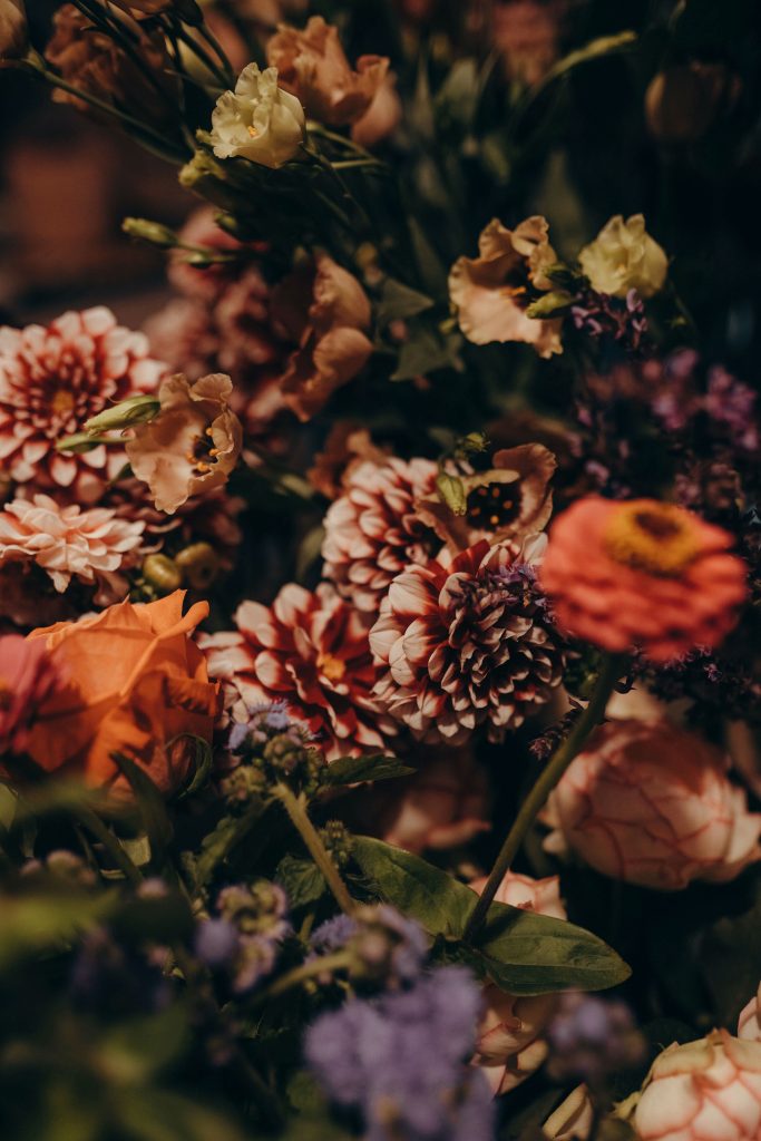 Alice Rangayen, Jungle Utopia