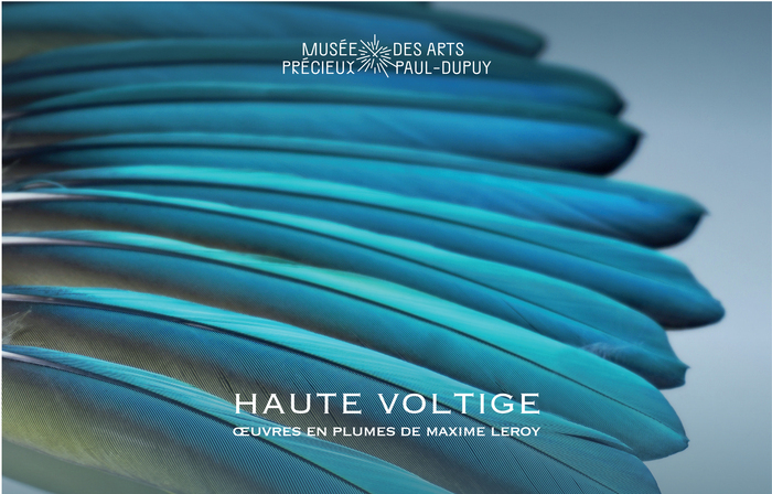 « Haute voltige – Œuvres en plume de Maxime Leroy » © Maison Février actualités oeuvres art toulouse exposition expo sortie