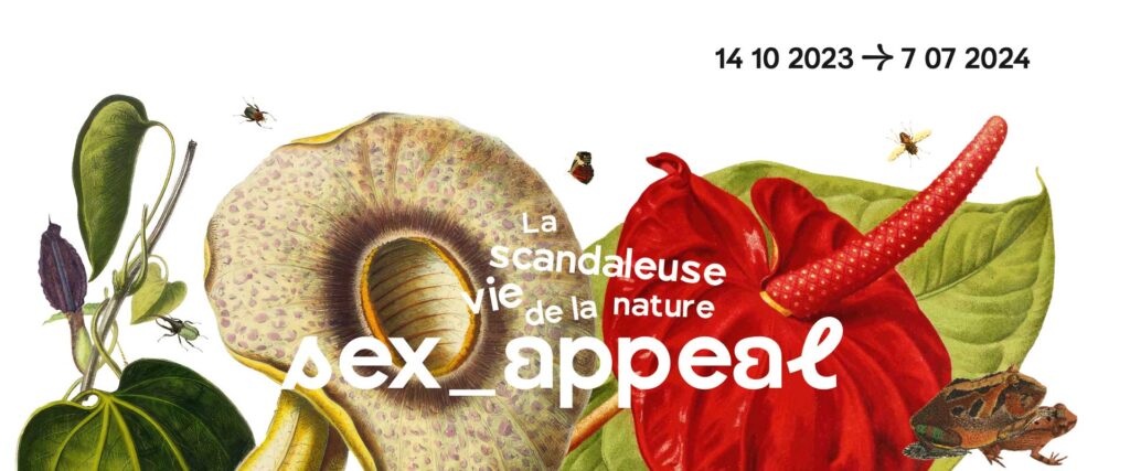 La scandaleuse vie de la nature – Sex-Appeal museum toulouse vie nature expo exposition vie intime sans tabou des animaux et des insectes art moderne contemporain